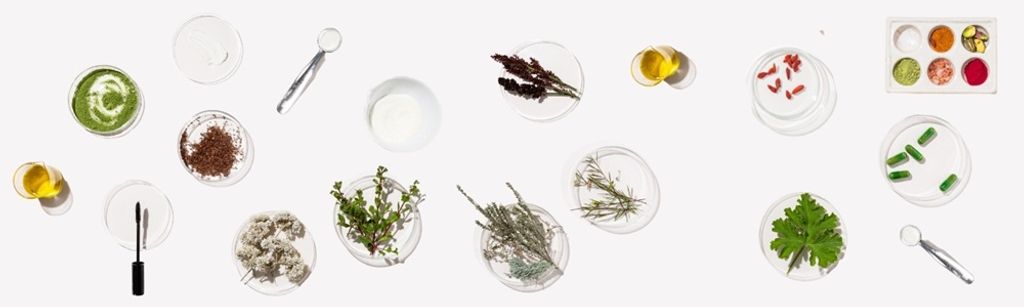 Bad Bunch Hero Image Update